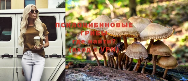тгк Армянск