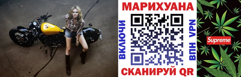 где купить наркоту  Саянск  дарк нет формула  Бошки марихуана Ganja 